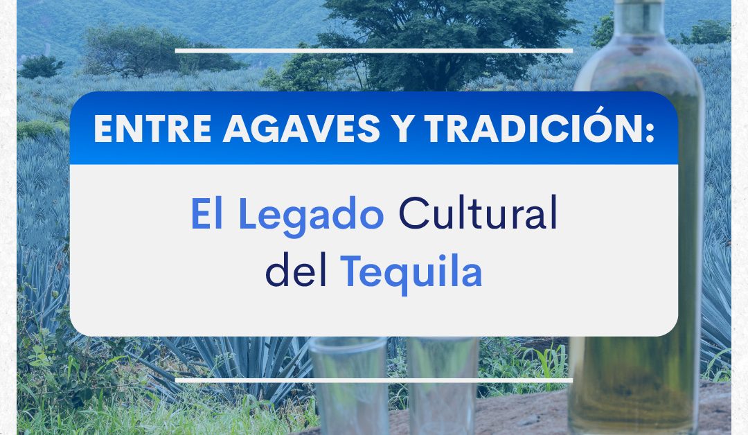 Entre agaves y tradición: el legado cultural del tequila