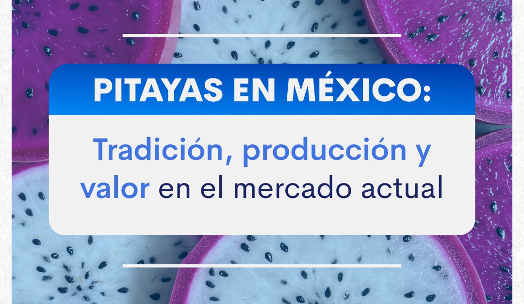 Pitayas en México:  tradición, producción y valor en el mercado actual