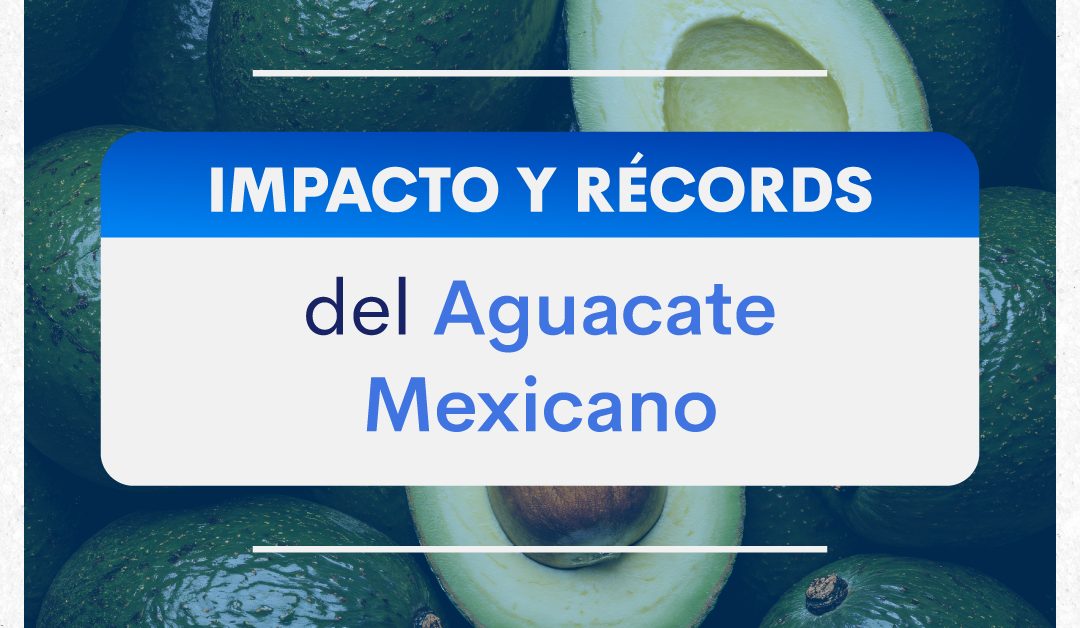 Impacto y récords del aguacate mexicano